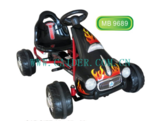 MB9689