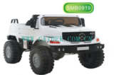 SMB0919