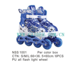NSS1001